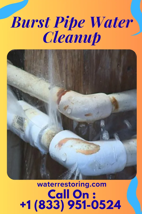 Burst Pipe Water Cleanup in Somerset, OH