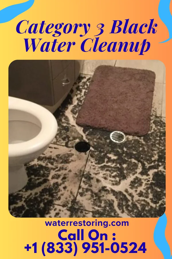 Category 3 Black Water Cleanup in Somerset, OH