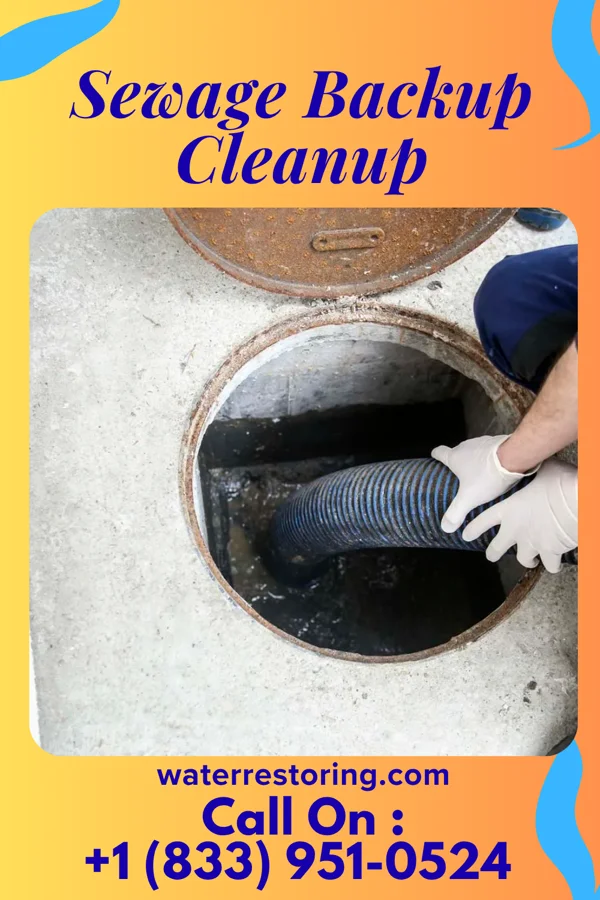 Sewage Backup Cleanup in Somerset, OH